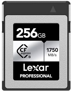 Lexar Professional 256GB CFexpress Type B Silver Series Memory Card
