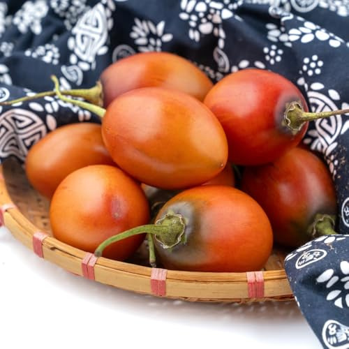 Semillas de tamarillo, semillas de tomate, Cyphomandra betacea, variedades antiguas arbustos 30pcs