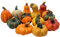 khevga Herbstdeko Zierkürbis – Deko-Kürbisse aus Terracotta im 12er Set, realistische Herbstdekoration für Tisch, Fensterbank, Garten und Wohnbereich
