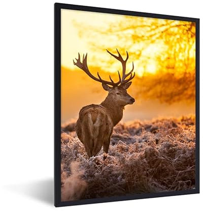 MuchoWow Poster Bilder Wanddeko Deko Wohnzimmer 30x40 cm Hirsche - Tiere - Sonnenuntergang - Winter - Heidekraut - Natur