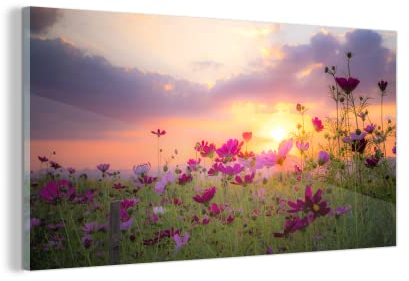 MuchoWow Glasbild Glasfoto Wandbild Bilder Deko 160x80 cm Blumen - Rosa - Sonnenuntergang - Natur - Wiese - Horizont