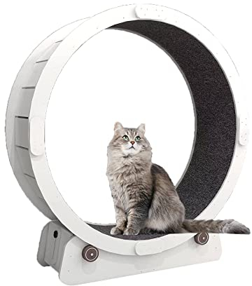 Hundelaufband Laufrad für Katzen, Laufrad für Katzen im Innenbereich, Laufband für Katzen, Laufband mit Teppichboden, großes Katzenspielzeug, Fitnessrollen für Katzen