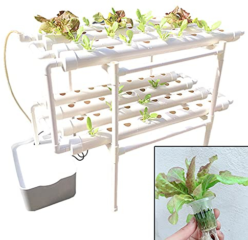 ZENGRICE Hydroponic Growing Kit, 2 Tier 72 Löcher Hydroponic Growing Kit, Indoor Garden Hydroponic Growing System, Gemüse und Obst Growing Kit für Gemüse, Blumen