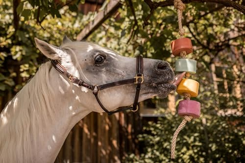 Horse Treats – IMIMA Lolly-Lick TRICOLORE 3-Pack with Lavender, Vanilla+Banana, Apple – Fun Natural Horse Treats for Box, Paddock, Stall – Includes FREE Hanging Rope