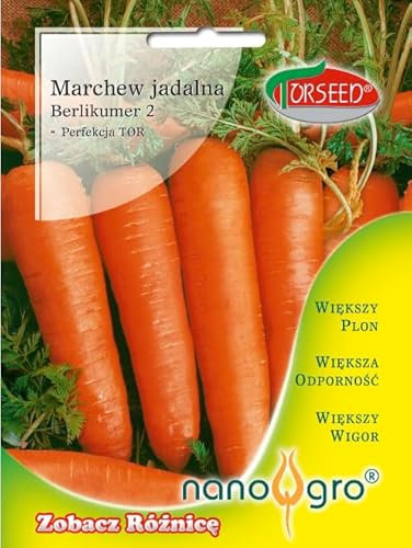 Verdica Semillas de zanahoria de cultivo dorado Berlikumer 2 – Maduración tardía, óptimas para almacenamiento, mejoradas con bioestimulante Nano-Gro, alto rendimiento, sabor dulce, raíces de 16-19 cm