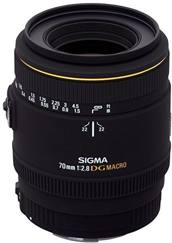 Sigma LH620-01Gegenlichtblende (70mm F2,8 DG)