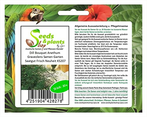 Pcs - 30x Aneth Bouquet Anethum Graveolens Graines Jardin Semences Frais Nouveauté KS207 - Seeds & Plants Shop by Ipsa
