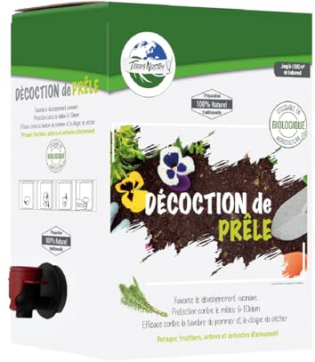 TERRA NOSTRA – Decocción de cola de caballo – Concentrado BIB 5L – Productos naturales – Preparación tradicional – Utilizable en agricultura ecológica – Fabricado en Francia