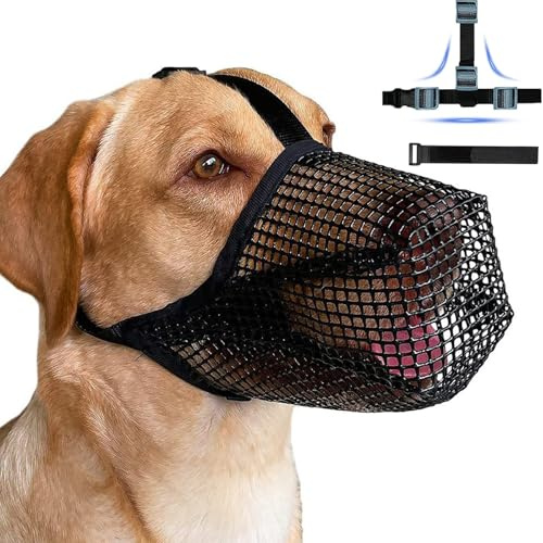 Anti Giftköder Maulkorb Maulkorb Hund Weicher Netzmaulkorb Prevent Fressen Kauen Beißen Atmungsaktiv Reflektierende Einstellbare Für Mittlere Große (Black-L)