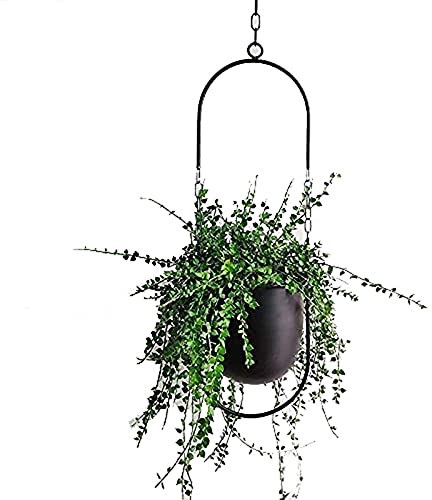 Hängende Dekoration Topf Metall Boho Hängekorb Decke Hängende Pflanzer für Zimmerpflanzen Sukkulenten Luftpflanzen Kaktus (Schwarz)