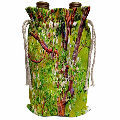 3dRose Close up of What Looks Like Popcorn Popping on Apricot Tree with Hue Vibrant Green,Red and Yellow Wine Bag