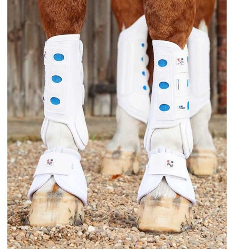 Premier Equine Vordergamaschen für Pferde Air Cooled Original Eventing