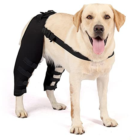 Zunea 1 Par Perro Rodilleras para Las Patas Traseras Aparatos Ortopédicos Mangas De Soporte para Perros de la Espalda Las Piernas de Compresión Protector y Apoyo Extra para Lesiones de Heridas L