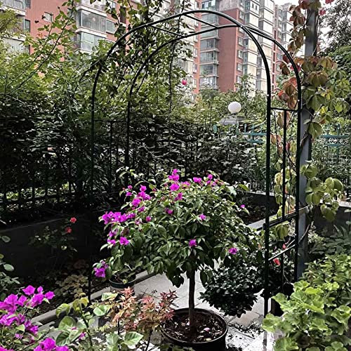 Arche de jardin en fer avec support de roses résistant aux intempéries, 240 cm de haut, arche en treillis pour plantes grimpantes, facile à assembler, décorations d'intérieur/extérieur, blanc, 2,8 x