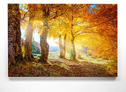 BilderKing Atemberaubende Leinwand Herbstbilder - Herbstsonne - als 120x80cm großes XXL Leinwandbild. Wandbild als Hintergrund und Deko für Wohnzimmer & Schlafzimmer. Aufgespannt auf Holzrahmen