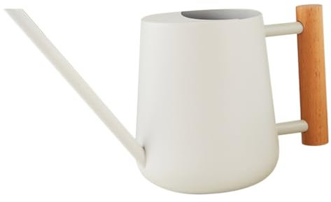 FONDOTIN Arrosoir Acier Inoxydable avec Bec Long pour Plantes Intérieur Arrosoir Ergonomique Métallique pour Arrosage Pratique et Confortable