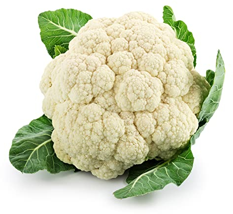 Cauliflower Plants, 'Maystar', 12 x Full Plant Pack, Winter Vegetable Plants, Cauliflower, Garden Veg, Cauliflowers, Garden Ready and Ready to Plant, Premium Quality Vegetables
