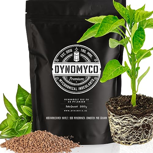 DYNOMYCO Granular Mycorrhizal Fungi Inoculant, 340g/12oz – Boosts Root Growth, Yields & Nutrient Uptake – 900 Propagules/g, Concentrated Granules, & OMRI Listed – Biofertilizer for Plant Growth