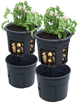 PAFEN 2X Kartoffelanbau Kartoffel-Pflanztopf – 392 x 316 mm - Kartoffel-Anzuchttopf Gemüse Kartoffeln Pflanzkübel Pflanztopf