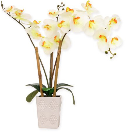 McPalms Orchidee 55 cm hoch mit Topf Weiss Kunstpflanze künstlich