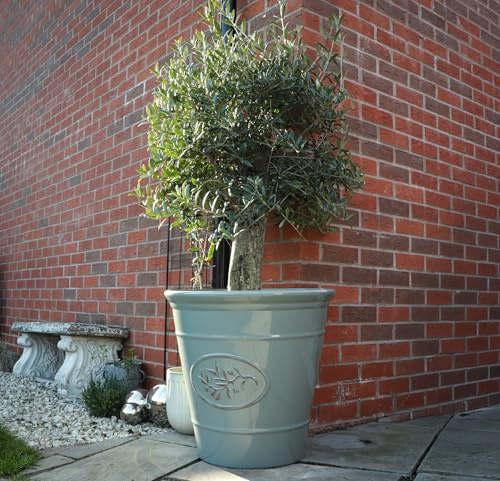 Outdoor Classic Olive Planter | Ceramic Look Round Plastic Flower Pot With Glossy Finish | Frost & UV Resistant Traditional Garden Plant Pot| Dia: 40cm, 50cm & Square | Grey (2, 50cm XL Round)