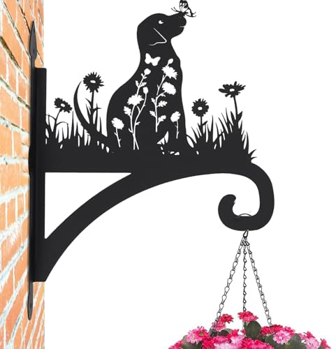Colgador de plantas para interiores – Soporte para cesta de flores de perro, colgador decorativo de pared para plantas, suculentas, de colibrí, campanilla de viento, patio, jardín, balcón