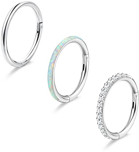 Diamday 3 Stück G23 Titan Nasenring Hoops für Frauen Scharnier 16G Septum Ring CZ Clicker Segment Septum Lippe Nase Ohr Augenbraue Tragus Hoop Helix Knorpel Conch Rook Daith Piercing Schmuck 8MM