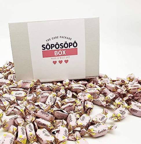 Fazer Geisha Cioccolatini al latte con ripieno di nocciole Sacchetto da 900 g in scatola Söpösöpö Dolciumi finlandesi