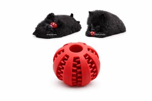 Snackball Hund 5 cm – Futterball & Leckerli-Ball für Hunde – Intelligenzspielzeug zur Beschäftigung & Mentalen Auslastung – Robuster Leckerli-Spender Hundeball in Rot – Ideal für kleine Hunde