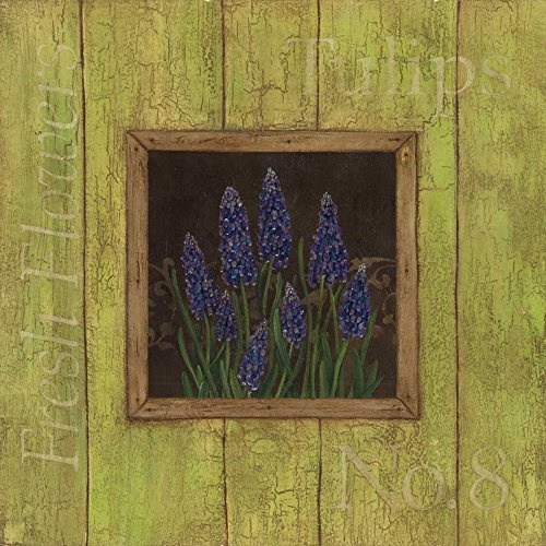 ArtExpert Grape Hyacinths by Stephanie Marrott - 16x16 Art Print Poster