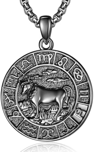 ADMETUS 12 Sternzeichen Halskette Silber 925 Tierkreiszeichen Anhänger Schmuck Runde Sternzeichen Konstellation Kette Geschenke für Männer mit 2.5mm 22+2 Rolo Ketten