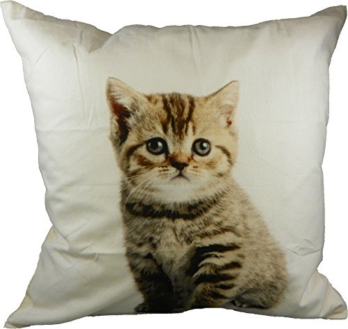Mars & More - Kissen - Dekokissen - Sofakissen - Katze - Kätzchen - 100% Baumwolle - inkl. Füllung - 50 x 50 cm