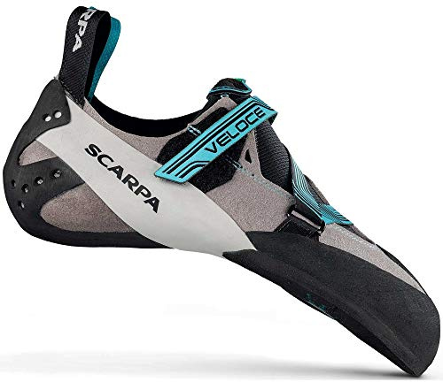 Scarpa