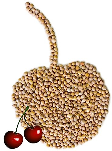 Kirschkerne lose für Wärmekissen Kirschkernkissen 5 kg Kissen Waermekissen Baby Füllung Körnerkissen Kerne Koernerkissen Füllmaterial Petigi