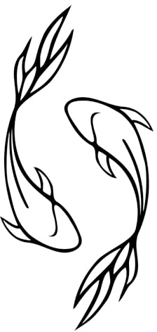 Inkster Tattoo Gegenüberliegende Fische | NEU: Verbesserte Qualität | Hautfreundlich & EU Kosmetikzertifiziert | hochwertige Temporäre Tattoos aus pflanzlichen Inhaltsstoffen | wasserfest