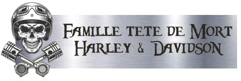 Plaques A Graver Plaque Boîte aux Lettres Personnalisée Tête de Mort 3D – Nom Gravé – PVC Adhésif – 124x41mm