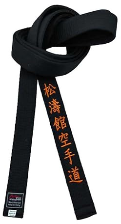 Songtaokan schwarzer Karate-Gürtel, bestickt, für junge Kampfsportarten, japanische Kampfsport, Breite 4 cm