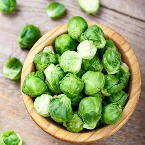 Rosenkohl winterhart garten exotische balkon hochbeet winterharte kübelpflanzen balkon dekopflanzen gemüsepflanzen zimmerpflanzen - Seltene 30samen