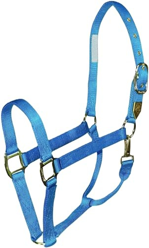 Hamilton 1 Horse Halter with Snap, Small Size (500-800 lbs), Berry