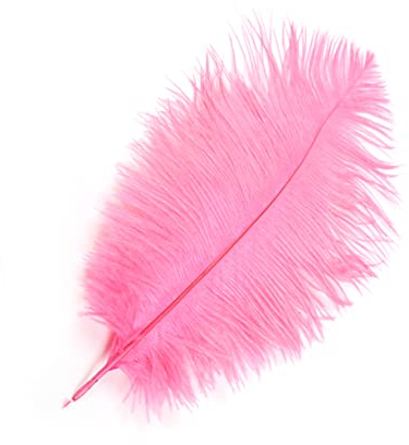 NUOBESTY 5St kunstfedern künstliche Federn rosa Federn bastelfedern Federn Set dekofedern künstliche Straußenfedern Krone schmücken Beleuchtung