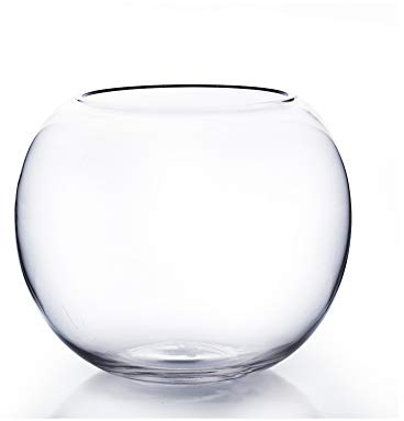 WGV Bowl Glass Vase, Diameter 10, Height 8, Open Width 6, (Multiple Sizes Choices) Clear Bubble Planter Terrarium Fish Bowl for Wedding Event Home Decor, 1 Piece (VBW0010)