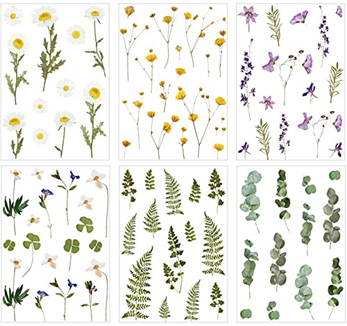 6 Bögen Set mit Pflanzenblumen, selbstklebend, Vintage, ästhetisch, transparent, für Scrapbooking, Album, Umschlag, Tagebuch, Kalender, DIY Dekoration