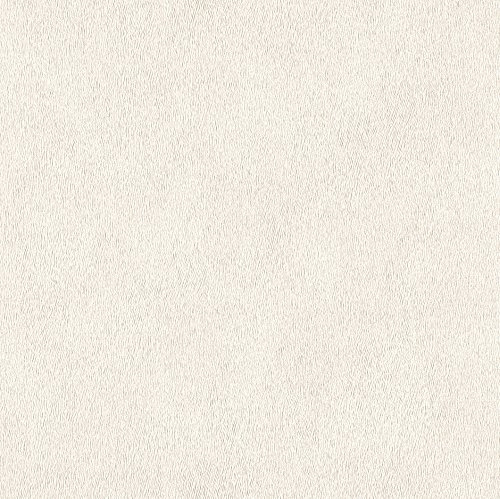 Rasch' Papier peint intissé collection African Queen II 423204