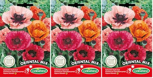 Germisem Oriental Mix Semillas de Amapola 0.25 g, EC1570 (Paquete de 3)