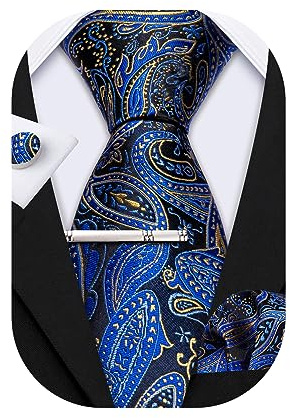 Barry.Wang Herren Krawatte Seide Set Florale Paisley-Krawatte Einstecktuch Manschettenknöpfe im Krawattenklammer Feierliche Hochzeit Party