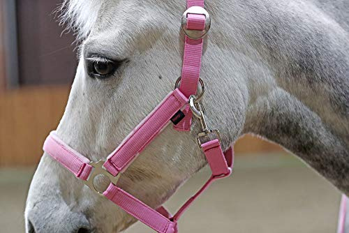 Kerbl 3297707 Halfter-Set Lilli Starlight mit Führstrick, Rosa/Berre/Weiß, Größe Shetty, 25 Stück