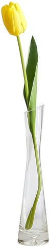 Petit vase en verre transparent, taille fine conique, base lourde, vases avec bouche de bouteille coupée en biseau, vase à tige unique pour la maison, le bureau, la décoration de café