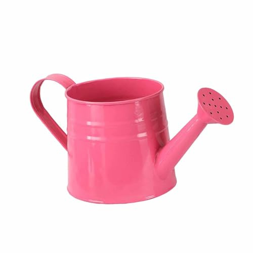 Milageto Mini annaffiatoio in Metallo Fioriera da 9,6x4,5 Pollici Contenitore per Fiori Decorativo Multiuso Secchio da Giardino per Gli Amanti delle Piante, Rosa Rossa