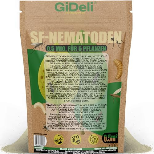 GiDeli SF Nematoden gegen Trauermücken 0,5 Mio, 5 Pflanzen / 0,5 m² | Nützlinge zum Gießen gegen Trauermücken und Thripse - kleinste Menge für 5 Pflanzen, zum Ausprobieren