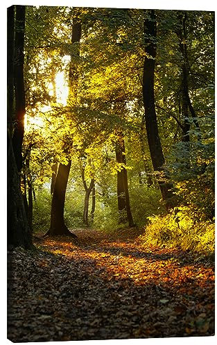 Posterlounge Il momento della sera in una foresta Stampa su tela 20 x 30 cm Quadri Decorazione per pareti